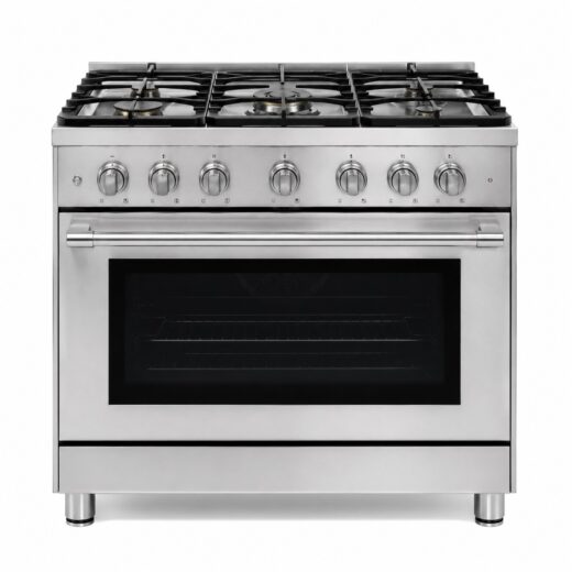 Stainless Gas Range 30 in